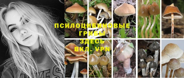 соль ск Абдулино