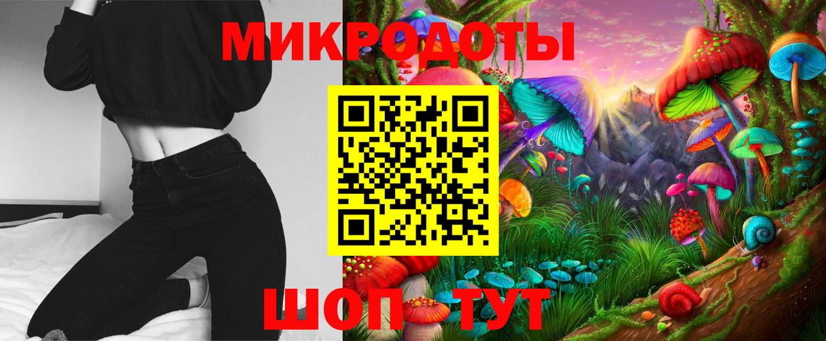 Псилоцибиновые грибы Psilocybe Абакан